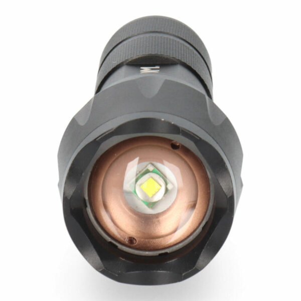 S7901077_4